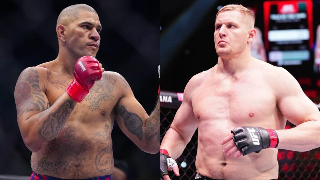 alex-pereira-sergei-pavlovich-ufc-335-favori