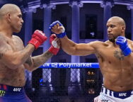 alex-pereira-tacle-ciryl-gane-avant-combat-josh-hokit-ufc-334