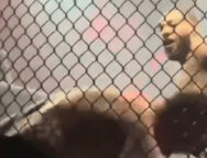 callum-bisping-ko-mma