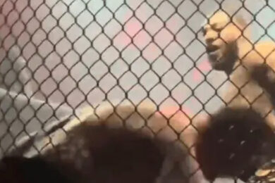 callum-bisping-ko-mma